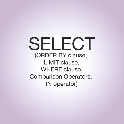 Let’s Get Into SELECT&nbsp;Statements